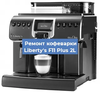 Декальцинация   кофемашины Liberty's F11 Plus 2L в Москве